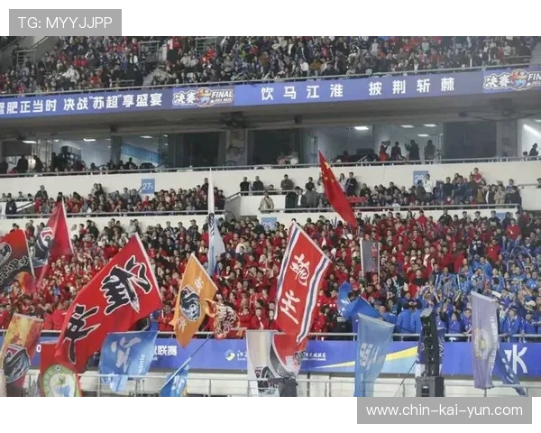 球迷热情支持，场上气氛火爆！，球迷们正在为队员们加油鼓劲